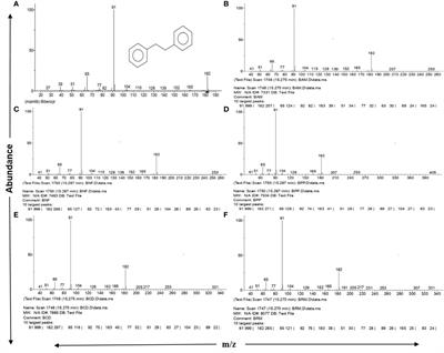 Detection of a bibenzyl core scaffold in 28 common mangrove and associate species of the Indian Sundarbans: potential signature molecule for mangrove salinity stress acclimation